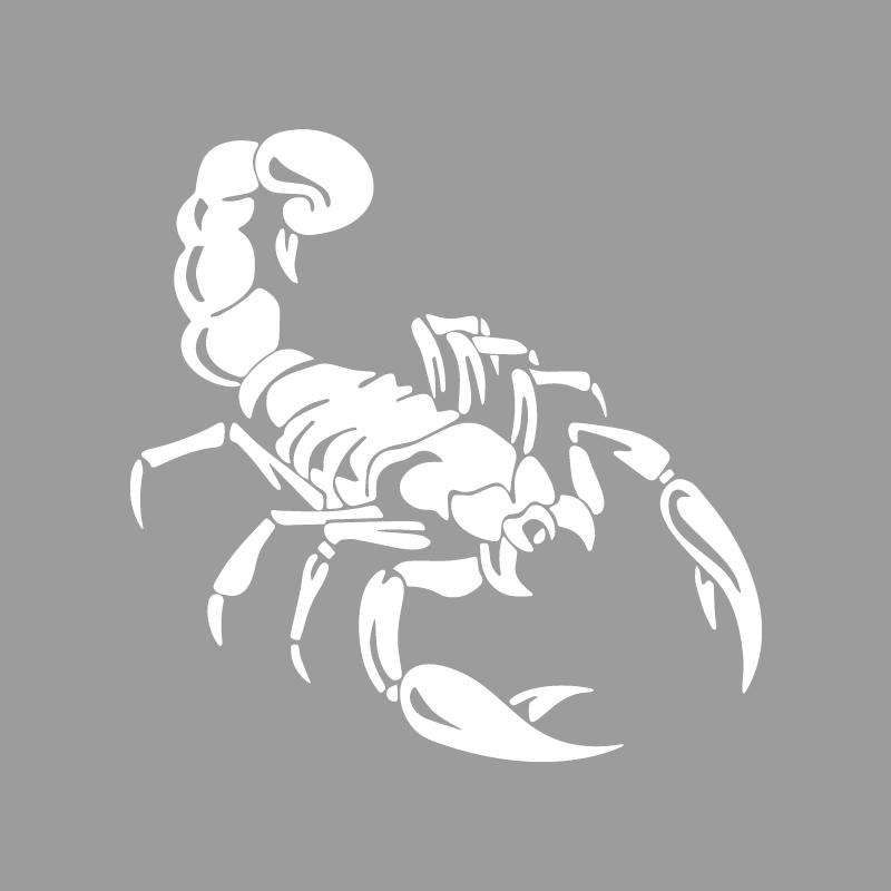 

Cool Dual Wielding Scorpions Creativeandfunny Stickers For Cartoon Fansandloverhigh Quality For Car Trucks Motorcycles And Laptops S