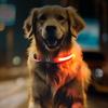 LED Dog Collar Rechargeable Light-up Dog Collar 3 Light Modes Adjustable Lighted Collar for Night Safety Evening Walks