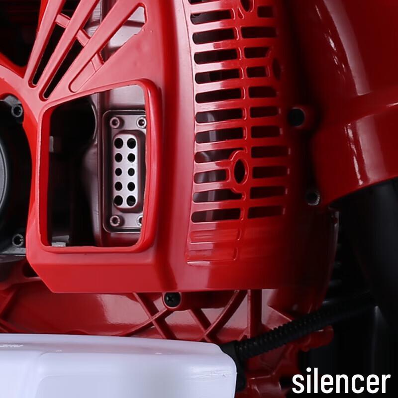 Gasoline Backpack Blower CN plug (adapter included)
