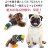 Hunt the Toy Dog Teaser That Lets You Retrieve Toys for Very Small and Small Dogs 2 - (pole + Toys)