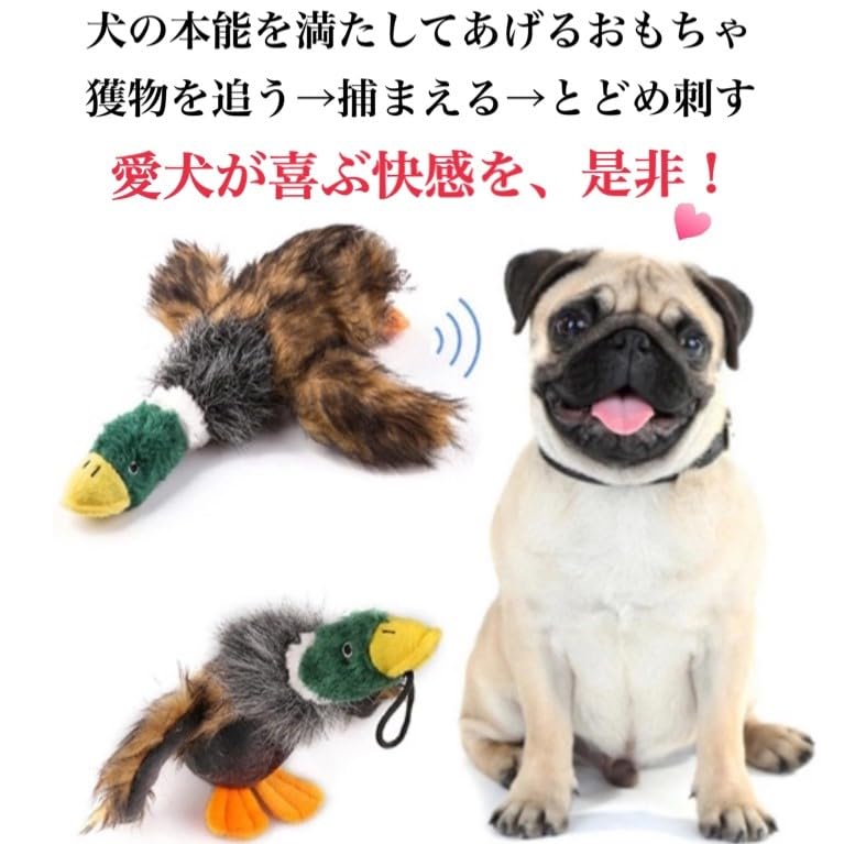 Hunt the Toy Dog Teaser That Lets You Retrieve Toys for Very Small and Small Dogs 2 - (pole + Toys)