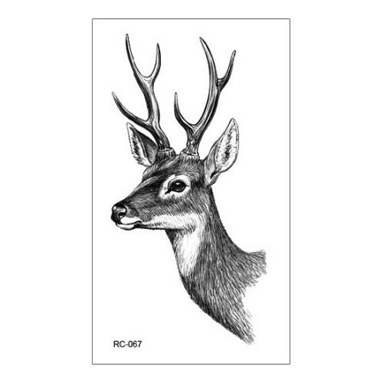 Waterproof Color Tattoo Stickers for All Ages