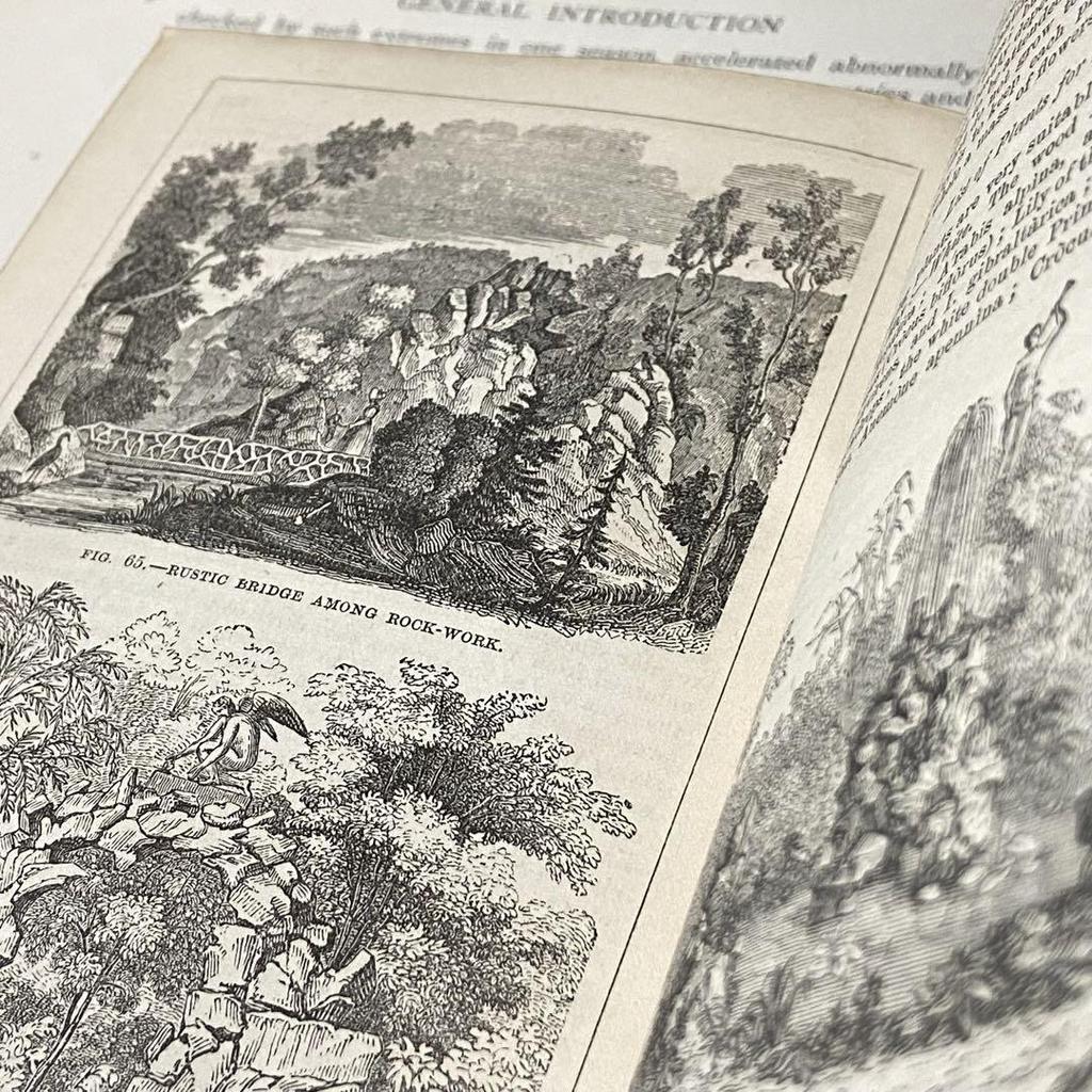 [USED] Extremely Rare British Victorian Antique Gardening Book