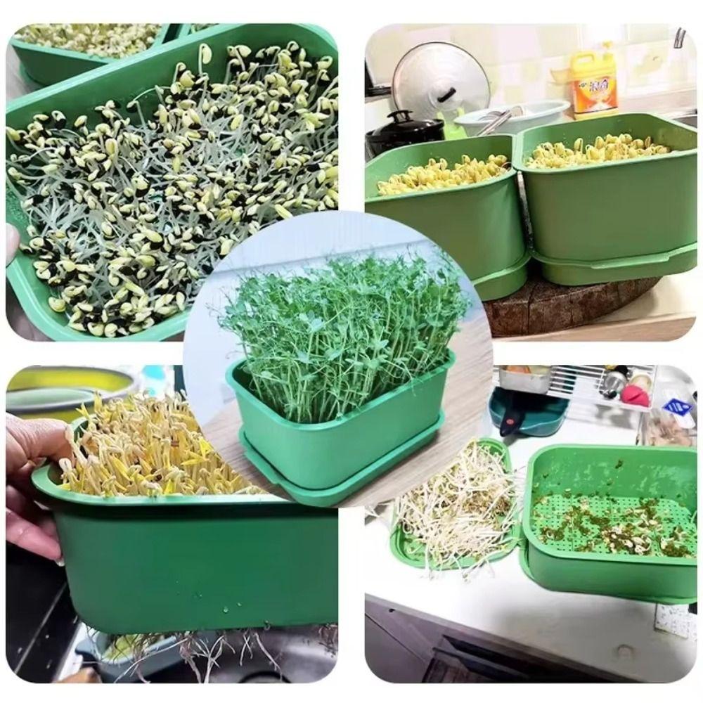 Plastic Seed Sprouter Tray With Cover Beans Seeding Pot New Sprout Dish Growing Pot