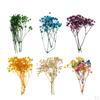 Getrocknet für Bouquet, Accessoires,