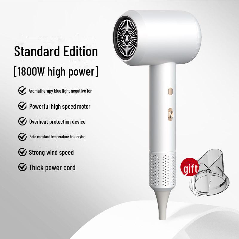 High-Power Blue Light Hair Dryer for Salon & Dorm, Hot/Cold Settings