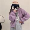 Hooded Short Knitted Cardigan Top Women's Autumn and Winter New Sweater Jacket Women's Loose Lazy Style