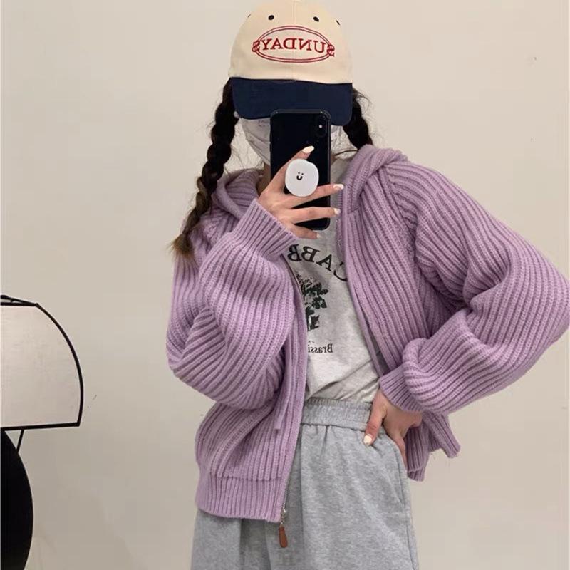 Hooded Short Knitted Cardigan Top Women's Autumn and Winter New Sweater Jacket Women's Loose Lazy Style