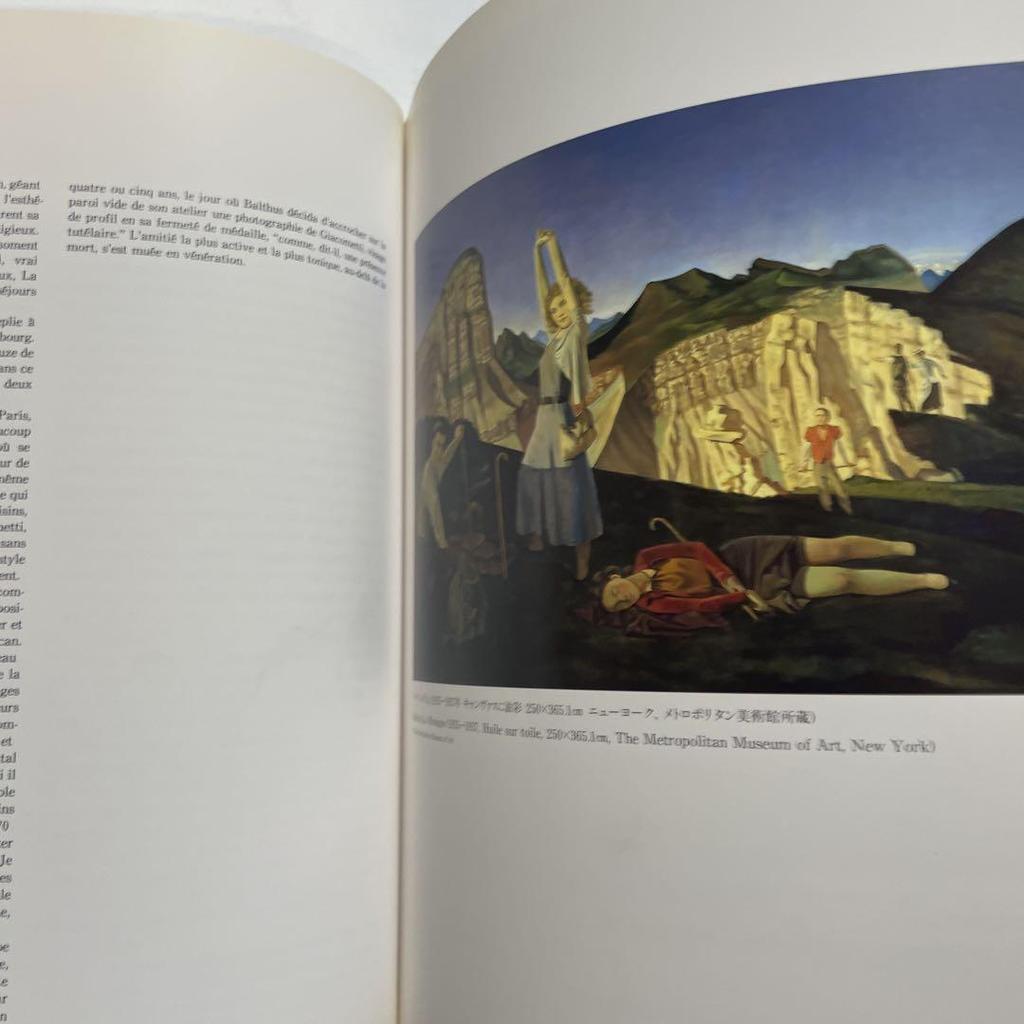 [USED] Balthus et Giacometti Art Collection