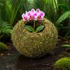 Mosbold Blomsterpotte, Naturlig Grøn Bonsai Planteholder, Dekorativ Mosbold Planteholder til Hjem, Have, Bryllupsfest Dekoration