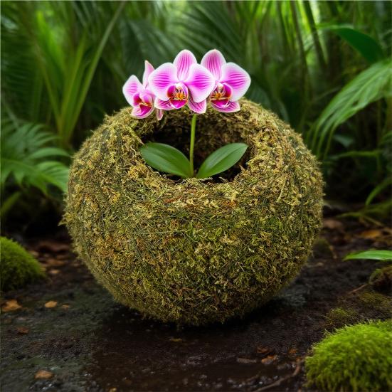 Mosbold Blomsterpotte, Naturlig Grøn Bonsai Planteholder, Dekorativ Mosbold Planteholder til Hjem, Have, Bryllupsfest Dekoration