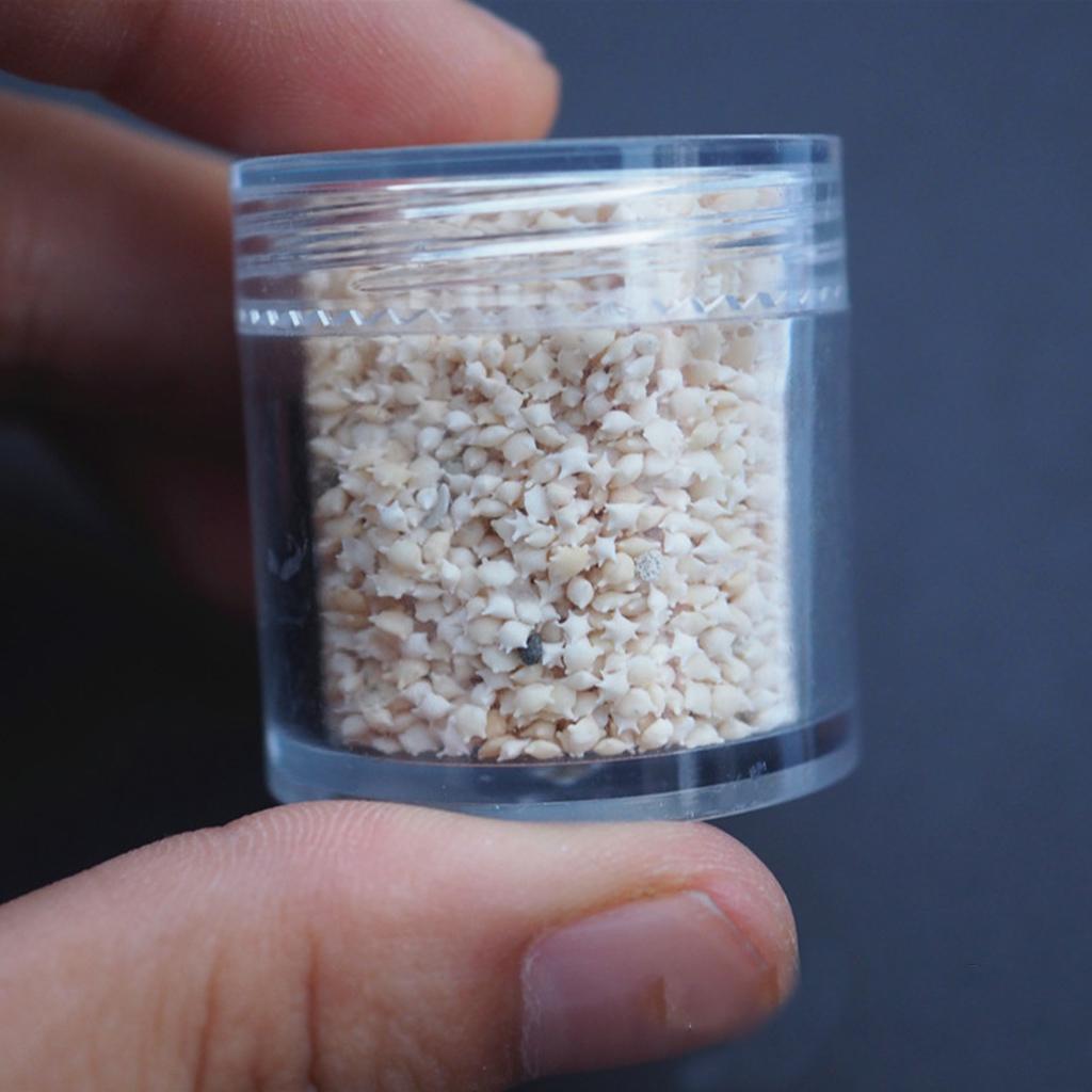 Marine Style Star Sand DIY Filler Materials Pendant Fillings for Jewelry Making