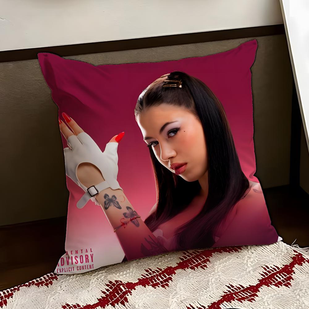 AAnna PPepe Cushion Cover Reversible Soft Durable Pillow Cover Home  Car MultiScene Use for Daily Comfort