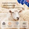Jingdong Zao 100% Australian Dorset Wool Quilt