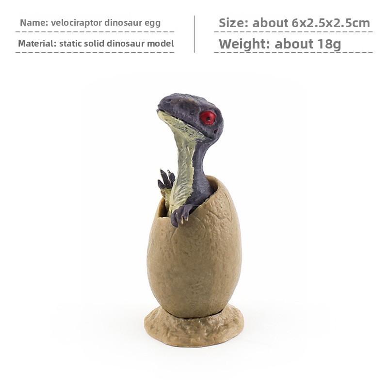 Dinosaur Velociraptor Triceratops Egg Model With Stand Design For Daily Gift Kid
