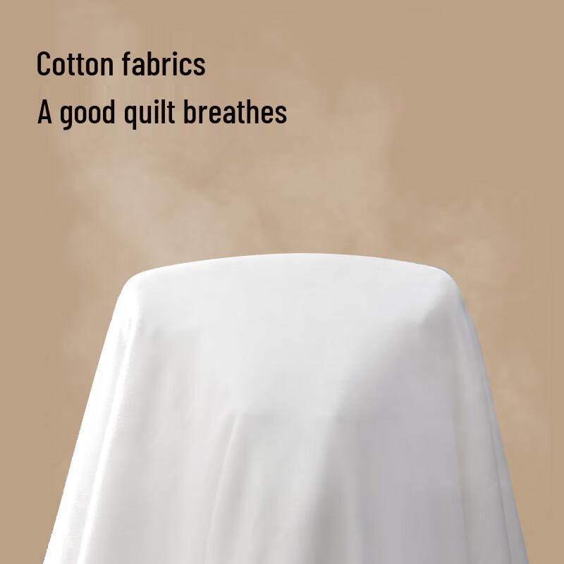 Jingdong Jingzao Four Seasons Silk Quilt