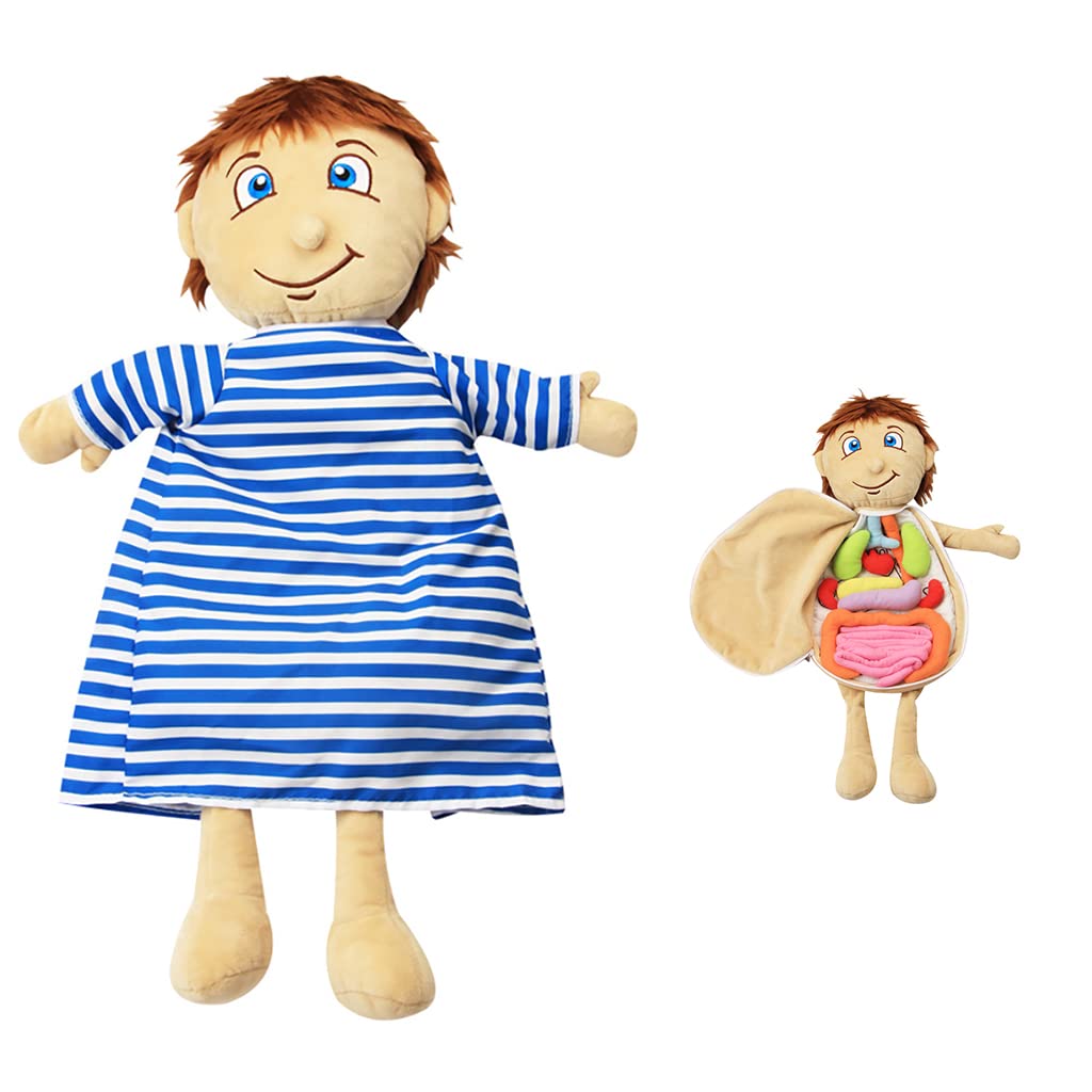 

Іграшка для анатомії людського тіла, дитячі плюшеві іграшки для дошкільного навчання, набори для вивчення природничих наук для студентів, інструменти для навчання органам тіла 49x33x6cm синій