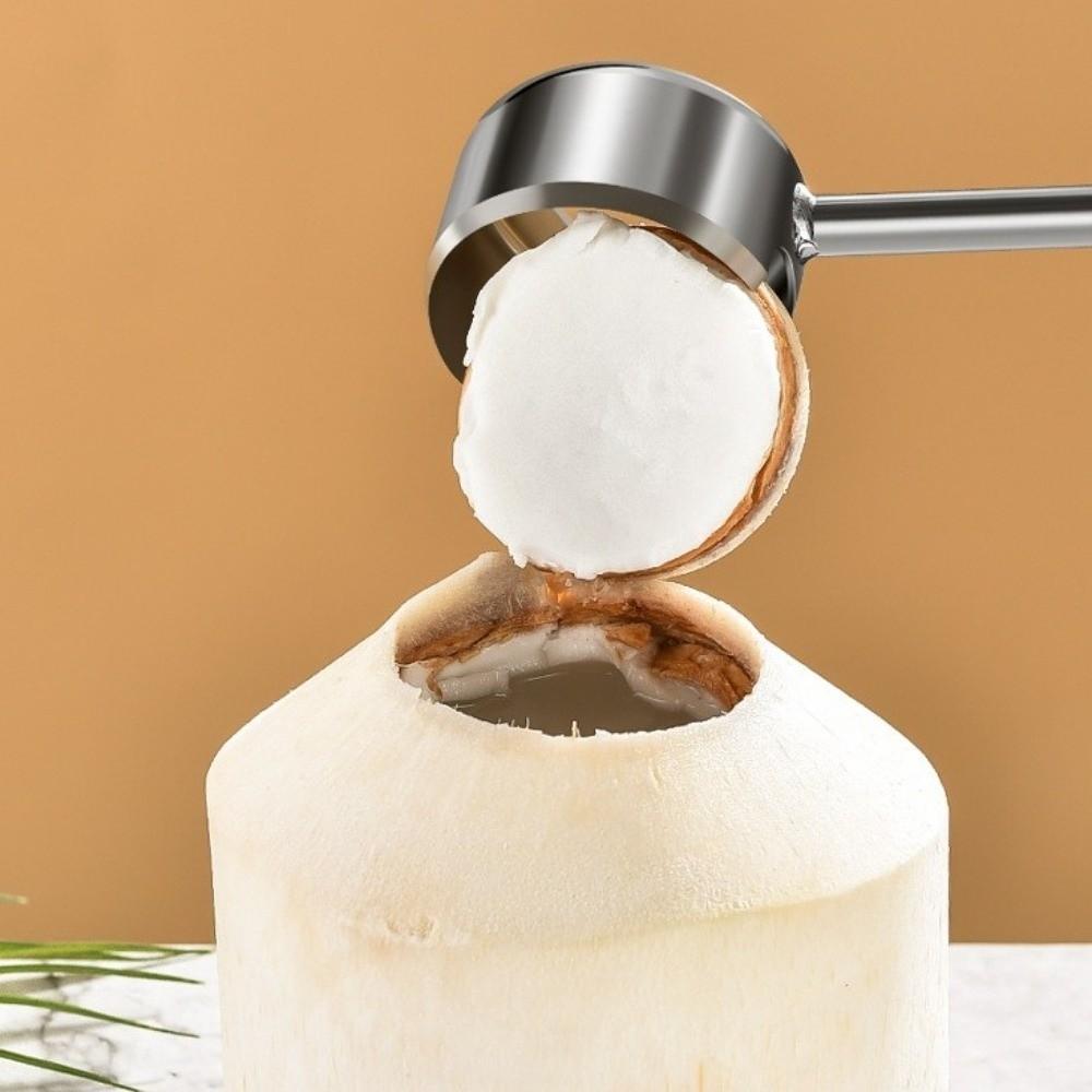 Rubber Hammer Coconut Breaker Kit Stainless Steel Coconut Puncher  Coconut Water Enthusiasts