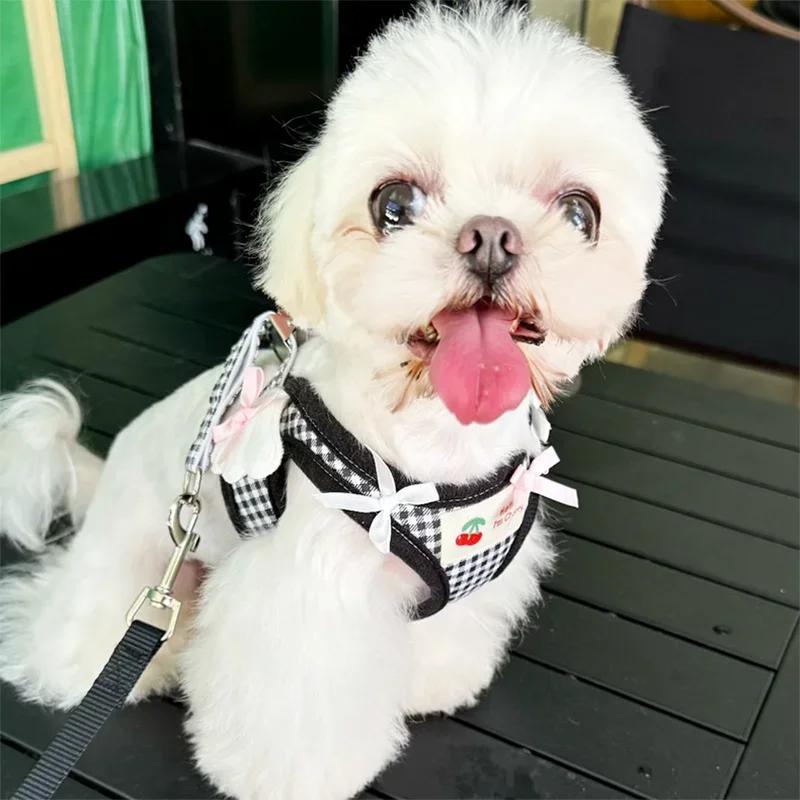 Cat Collars Pet Teddy Vs Panda Mimi Dog Walking Leash Chain and Small Puppy Outing Chest Strap Cute Chest Vest Cat Supplies