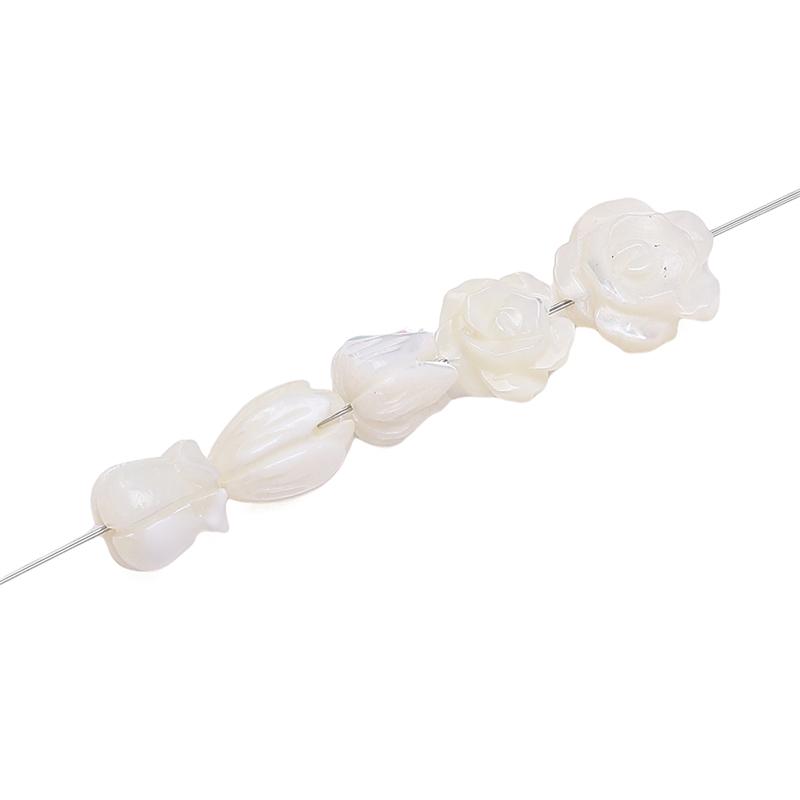 Natural Horseshoe Shell Beads For DIY Necklace Bracelet Earrings Jewelry Making