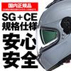 NOLAN CLASSICO Motorcycle XL Size 49944 N80-8 (GRAY/303) Full-Face Helmet, (61-62cm),