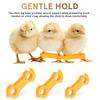 Practical-Baby Chick Leg Hobbles, 12Pcs Chicken Hobble Braces, Poultry Leg Bands, Baby Chick Slay Leg Hobble Brace