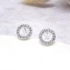 Simple and Fashionable Small Circle Zircon Women's Tassel Temperament Earrings