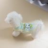 Kleding en schoenen – Vesten en shirts voor honden