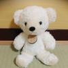 [USED] Kusu Handmade Kusunoki Aroma Bear Teddy Bear