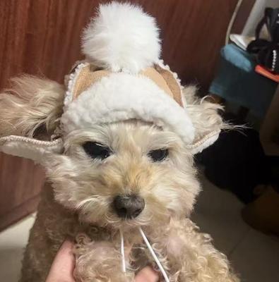 Pet Supplies Open-ear Dog Hat Winter Warm Plus Velvet Pet Headgear Hat