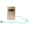 50Hz 600mgCelsiush O3 Generator Ozonator Household Water Food Vegetable Sterilizer(Golden)