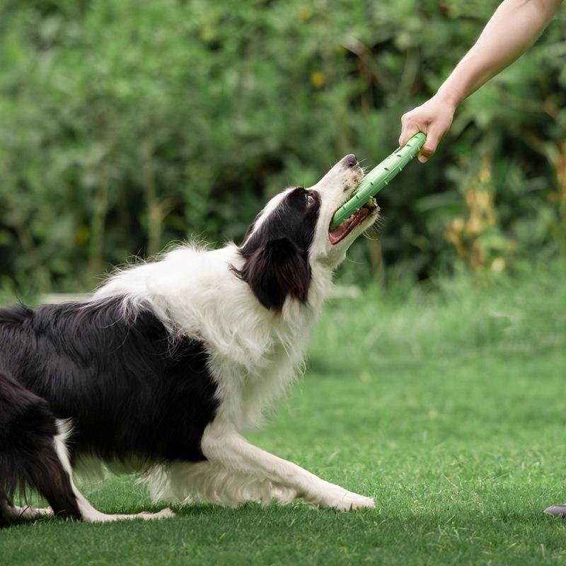 Bite-Resistant Elastic Frisbee Tug Toy for Medium and Small Dogs - Interactive Training for Golden Retrievers and Border Collies.