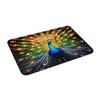 Cute Peacock Pattern Modern Style Front Floor Door Entrance Mats Outdoor  Bath Kitchen Doormat Bedroom Carpet Rug