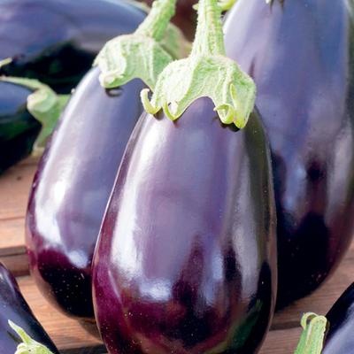 60 Black Beauty Eggplant Seeds - Vegetable Garden Vegetable - Reproducible Peasant Seeds - Semiwild
