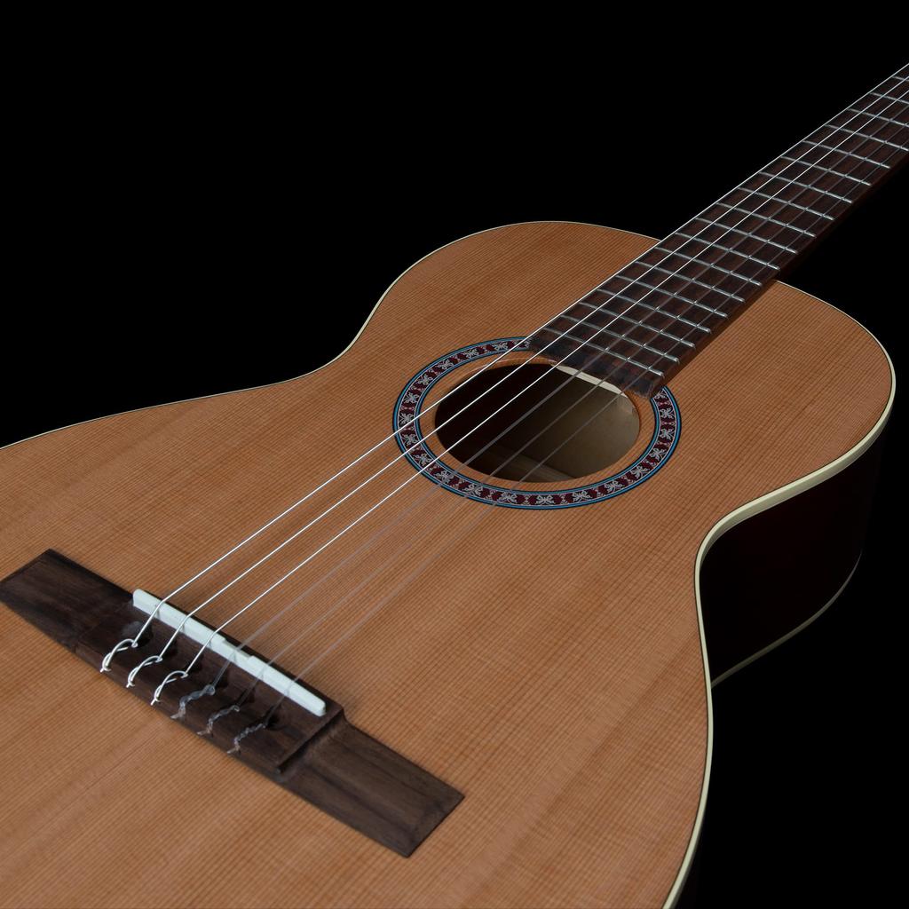 Godin Nylon Guitar Classical Guitar Solid Cedar Top Motif 049738 []