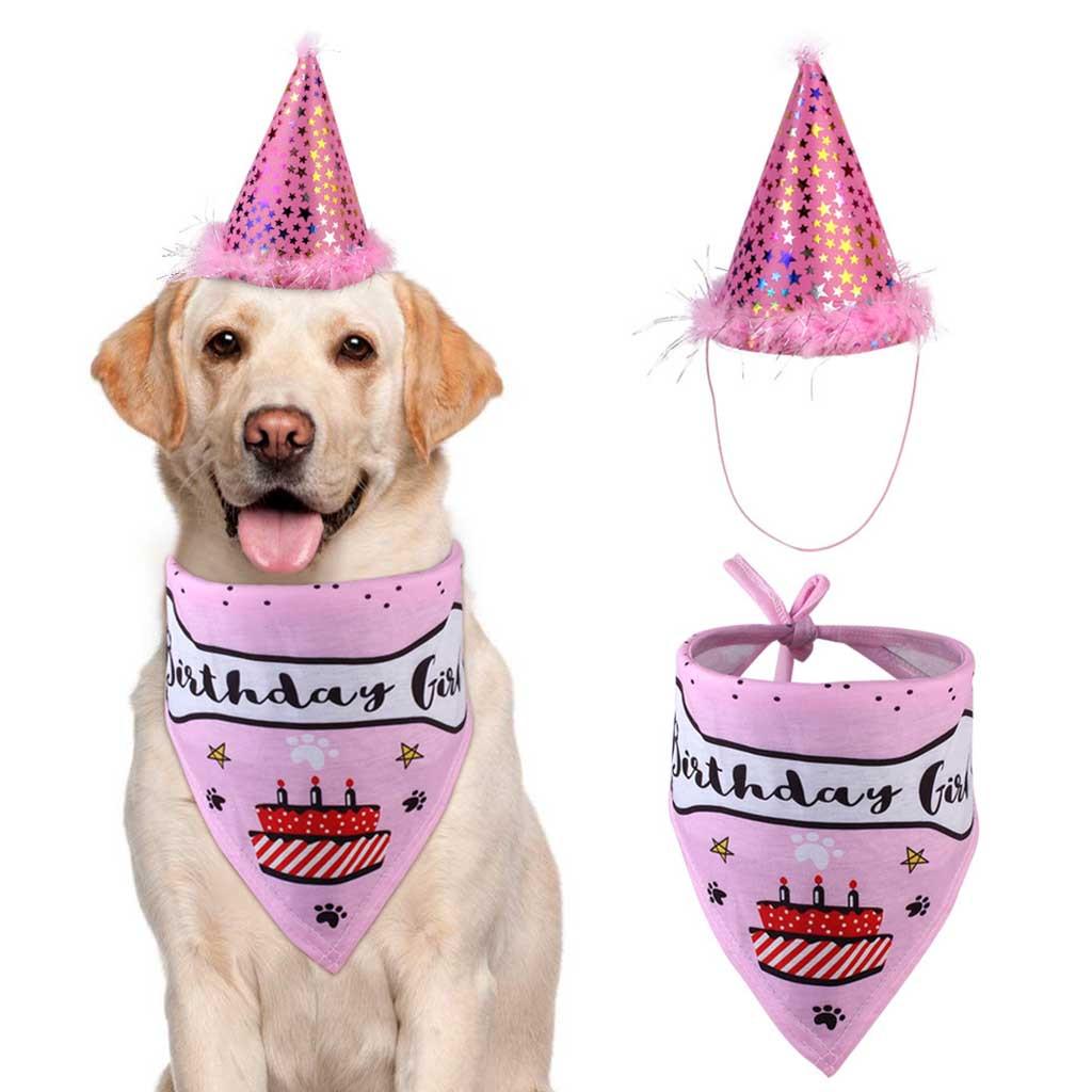 Pet Dog Birthday Headwear Caps Hat Party Costume Headwear Pet Accessory