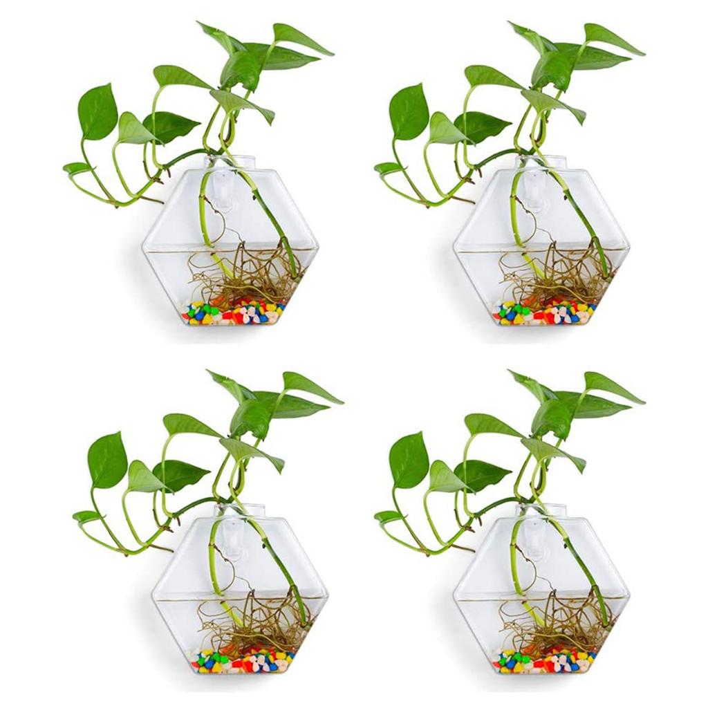 Vaso de flores de vidro de parede 4 peças decoração de casa vaso hidropônico de parede hexagonal recipiente para plantas endro