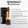 Highly Pigmented Women's Lipstick, Waterproof & Smudge Proof, All-Day Comfortable Moisturizing Wear, Ideal for Daily Use and Special Occasions