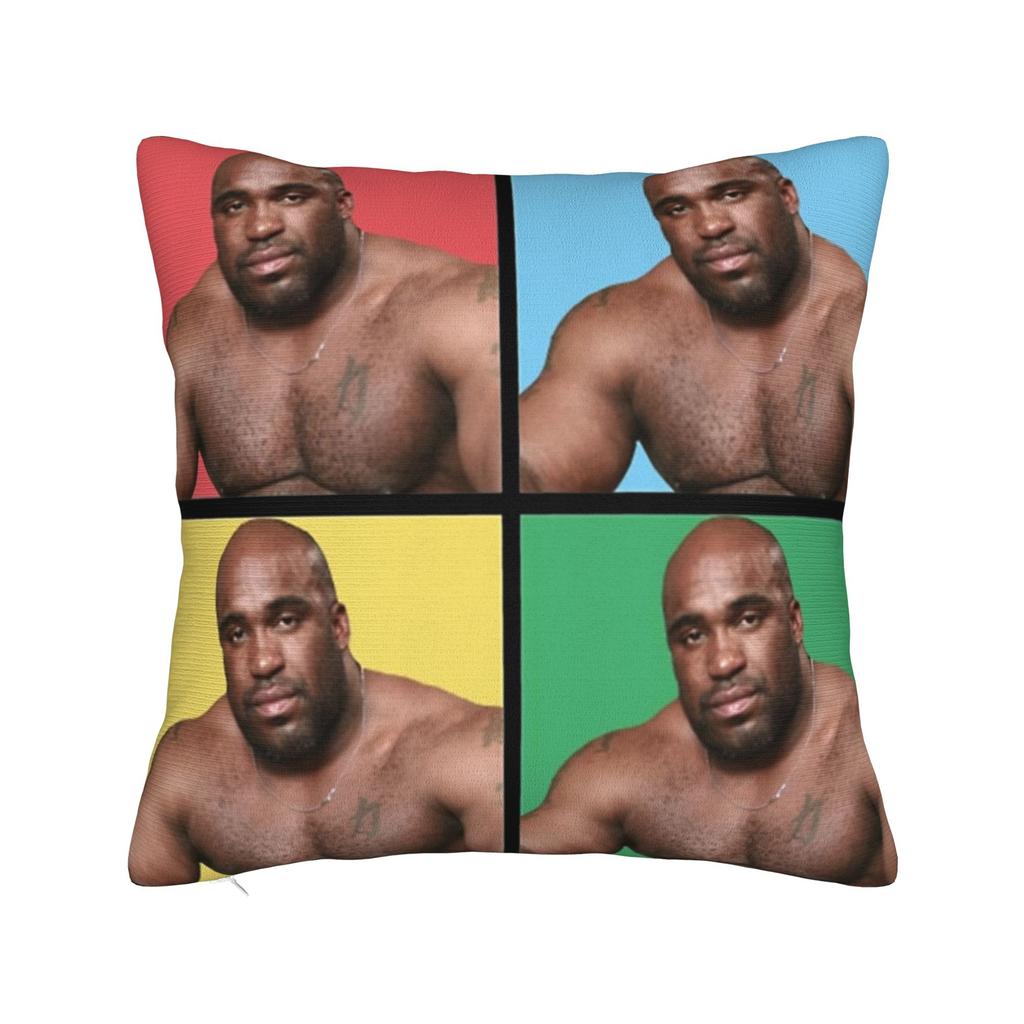 Decorative Pillow Cover Funny Barry Wood Meme Christmas Accessories Car Pillow Case Cover Zippered Multiple Sizes