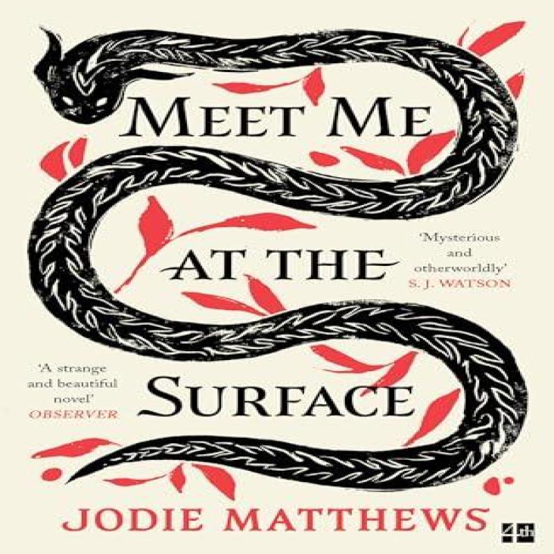Meet Me at the Surface by Jodie Matthews Paperback Book 9780008585051