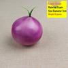 Simulated Onion and Fruit & Vegetable Hot Pot Side Dish Models