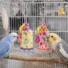 Hanging Parrot Chewing Toys Colorful Bird Foraging Toys Mouth Molar String  Parrot  Cage