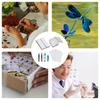 Butterfly Specimen Tools Reusable Taxidermy Tools Adjustable Specimen Set Educational For Biology Projects