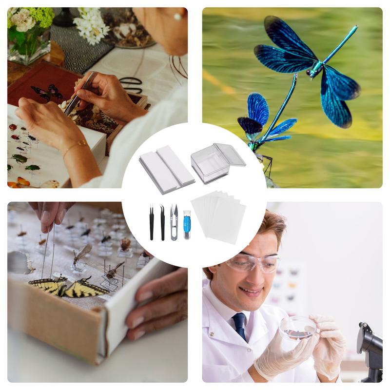 Butterfly Specimen Tools Reusable Taxidermy Tools Adjustable Specimen Set Educational For Biology Projects