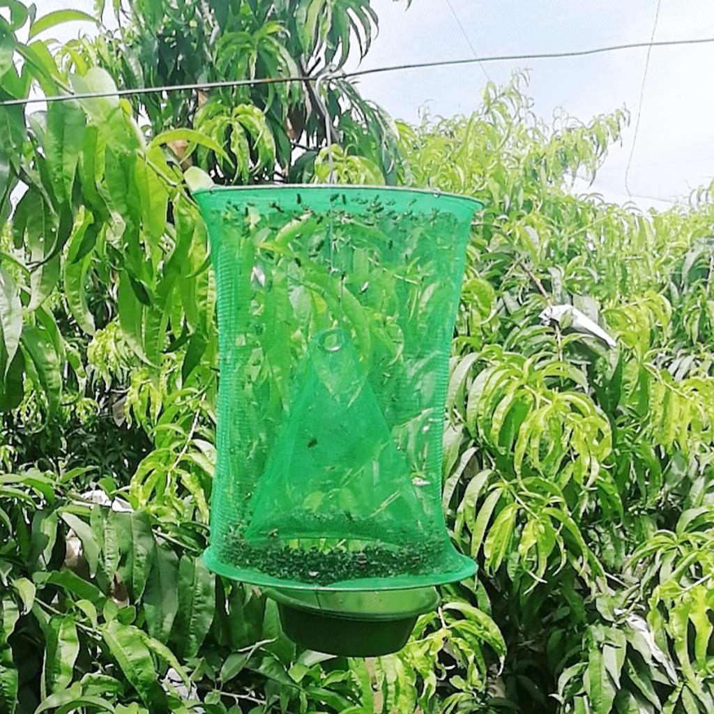 Fly Trap with Bait Tray Fly Cage Fly Catcher Reusable for Indoor Outdoor Restaurants Backyard