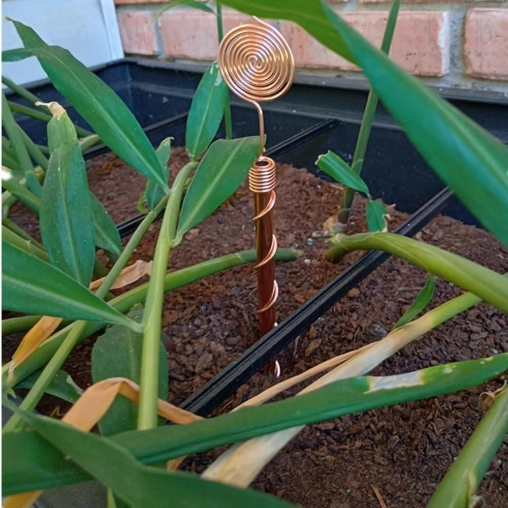 Durable Copper Wire Coil Stakes Spiral Coil Plant Support Stakes Bonsai Fixing Rod  Gardening Tool