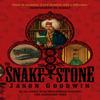 The Snake Stone by Jason Goodwin Paperback Book 9780571236473