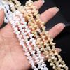 Horizontal Hole Shell Beads Natural Freshwater Shell Irregular Beads 4x8mm For Jewelry Making DIY Necklace Bracelet Earrings Accessory