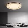 OEING Modern Minimalist LED Ceiling Lamp
