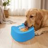 Pet Slow Feeder Lick Pad for Dogs and Cats Food Grade PP Anti-Choke Bowl with Maze Design